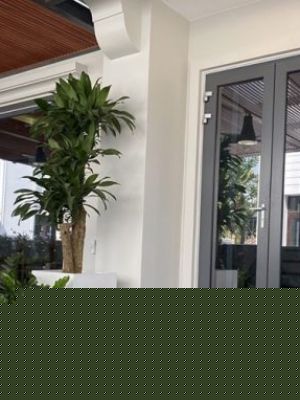 Cửa Nhôm Cầu Cách Nhiệt Nhập Khẩu
